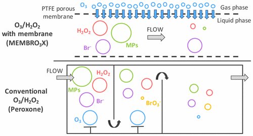 EnvSciTech's tweet image. #Membrane contactor w/ #advancedoxidation for simultaneous #micropollutant abatement &amp;amp; Br minimization; #ESTLetters acspubs.co/xScb30aD7Ee