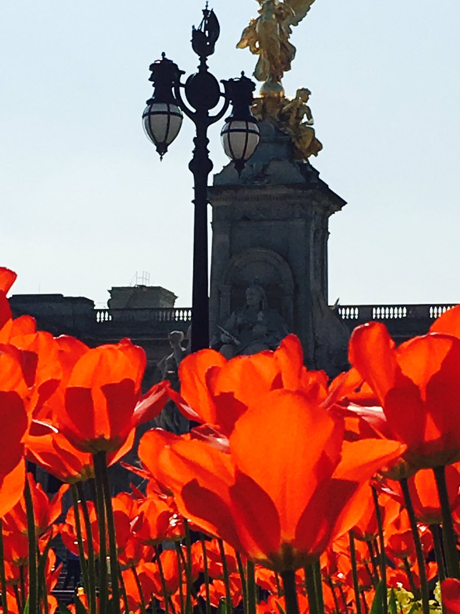 Anna Stretch tweet media