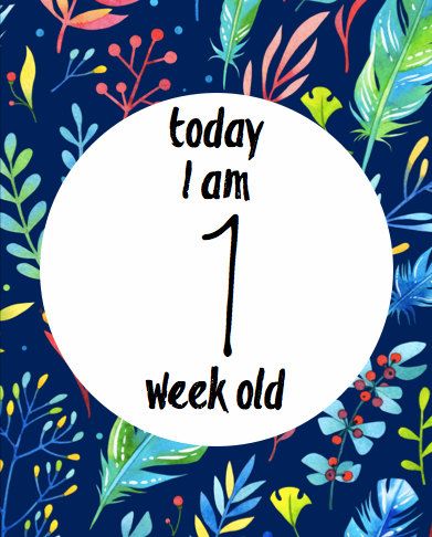 TheEtsy's tweet photo. #MomentCards | #Baby | #Children | #Art | Printable Wall #Art | Instant Download Art https://t.co/JIDFpMdBoz https://t.co/ClDIIvbdkw