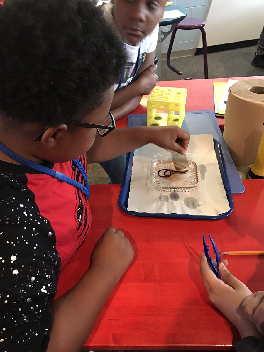 MsWare_199's tweet photo. I'm a proud teacher. They are such great kids. Well-behaved at the Math and Science Innovation Center @The_MSiC @ChimborazoES https://t.co/CKFf2I4uTL