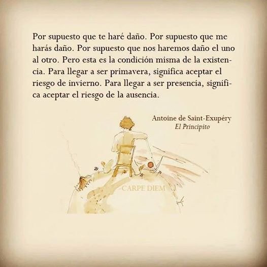 maxicorreaaa's tweet photo. El Principito siempre fue más que un libro... https://t.co/v30bLSjC0S