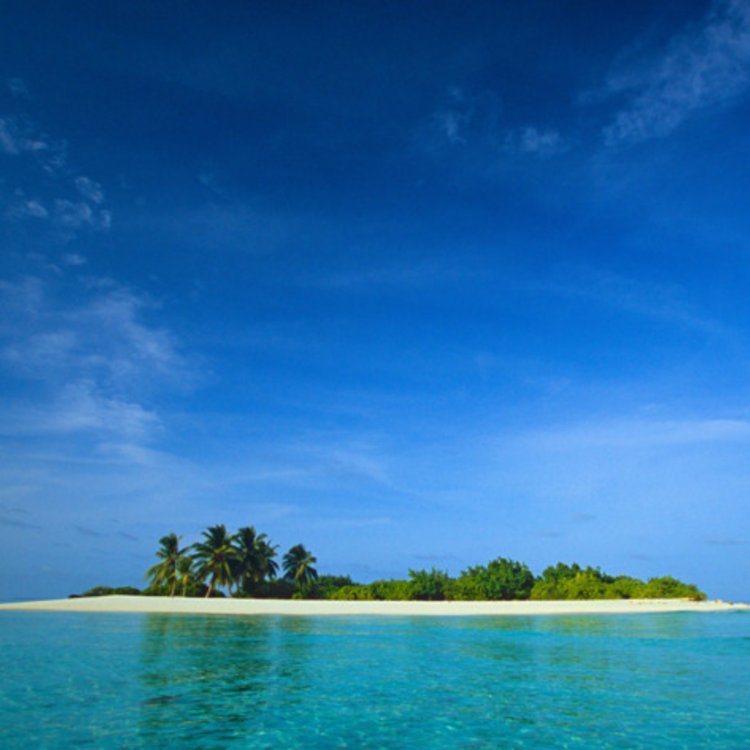 BaaganSRamon's tweet photo. If you were stuck on a desert island and had to choose one of our menu items to eat for the rest of your life, which one would it be? https://t.co/OPpe9tKlqG