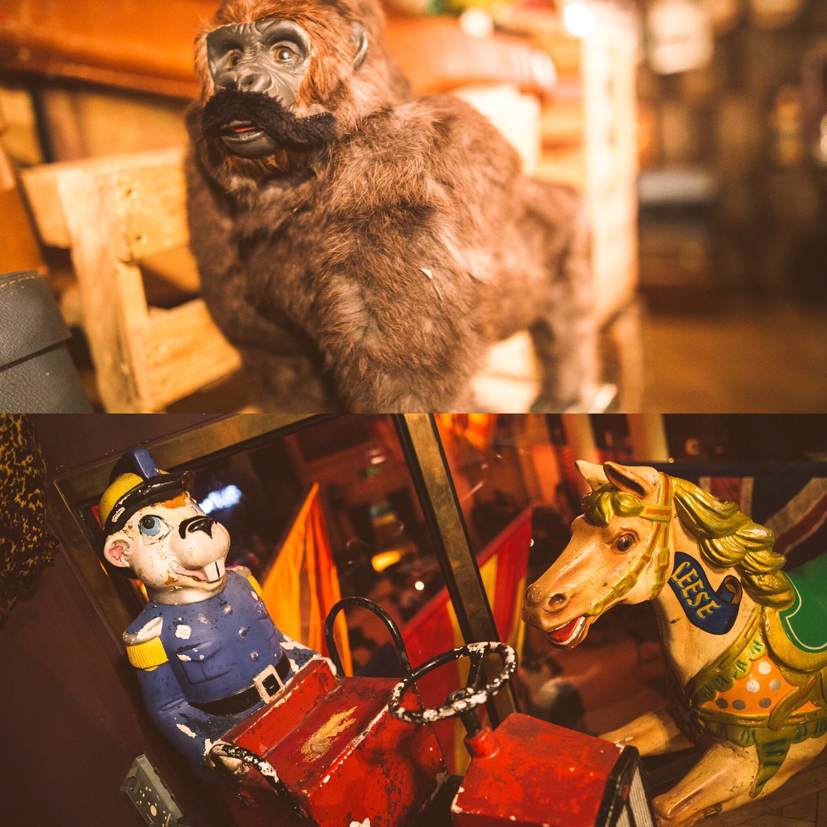 Just a couple of Cargo quirks. 
Our fun friends appear in our 'Cargo Hold' and help host a fun dinner with friends!
