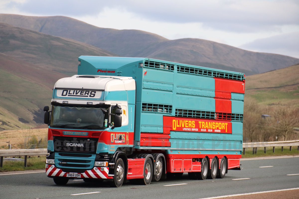 Oliver's Transport Scania &amp; Plowman float. <a href="/livestocktrucks/">Livestock trailers</a> <a href="/ScaniaUK/">Scania UK</a> <a href="/_transportnews/">Transport News</a> #Scania