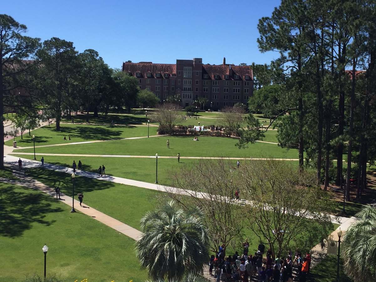 FSUCCI's tweet photo. Ever wondered what Landis looks like from the roof of Strozier? Prepping for #torchthegreen at 2PM https://t.co/mnNbNdF5WP
