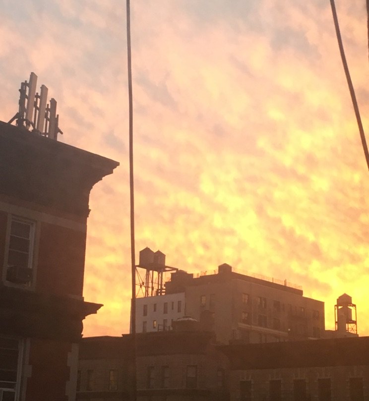 Brooklynette's tweet image. 