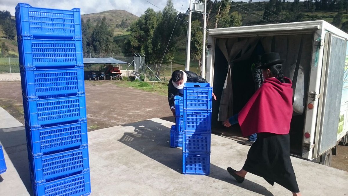 FerchoCA1398's tweet photo. InfoMAGAP | Entrega de gavetas para fortalecimiento de la organización de productores de quinua #Coprobich #Colta #DesarrolloProductivo https://t.co/iwTewgPR1p