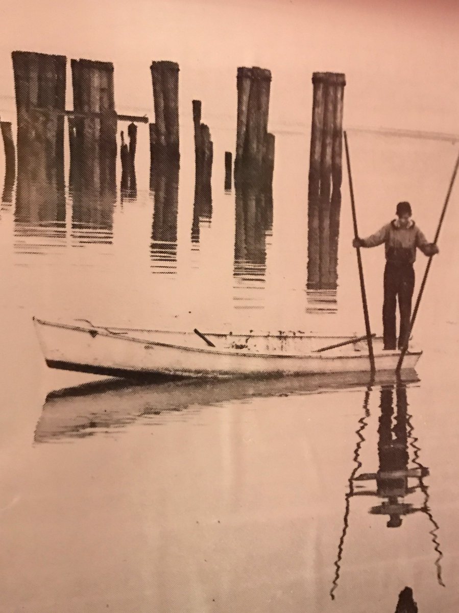 PleasureHouseOysters tweet media