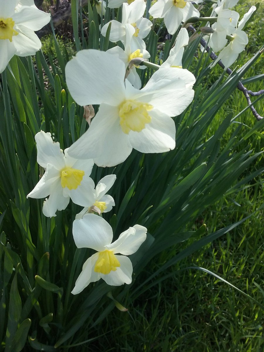 OurMicroFarm tweet picture