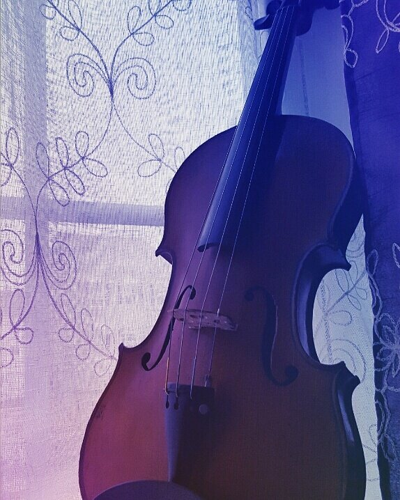 hrgviola's tweet photo. 🌧️Rainy day blues🌧️
#viola #violin #violinlove #strings #stringquartet #musician #myviola #violalove #stringlife #rainyday https://t.co/L38xVvx899