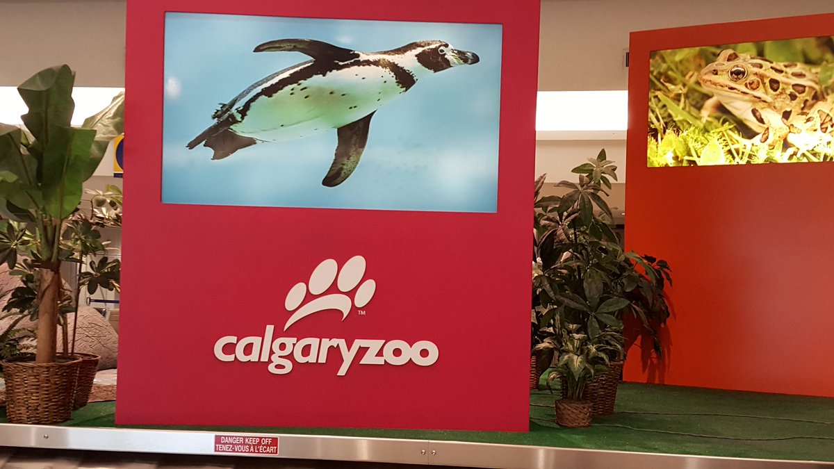 dharmurology's tweet photo. Just arrived in beautiful #Calgary to attend #srpc2017 & to deliver lectures. @SRPCanada @john_soles #Rural #srpc25 https://t.co/dr7wGoNa57