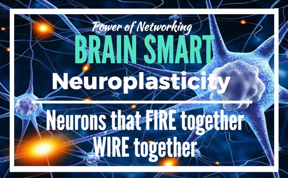 wyhusker10's tweet photo. Brain Basics with @qleducation and @tmurcray https://t.co/yaGnhuObbf #cpsmt #cpsmakedust #brainchat https://t.co/ybF3tn3nvB