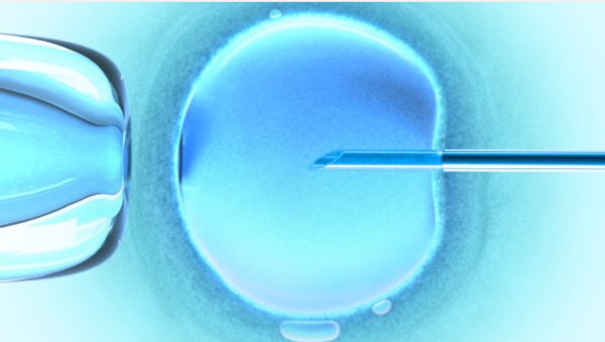 JShepherd_MD's tweet photo. Things you should know before preserving your eggs 
#fertilityjourney
#eggfreezing
#ivf
https://t.co/LbCvhLDWWK https://t.co/LbMHAmntLv