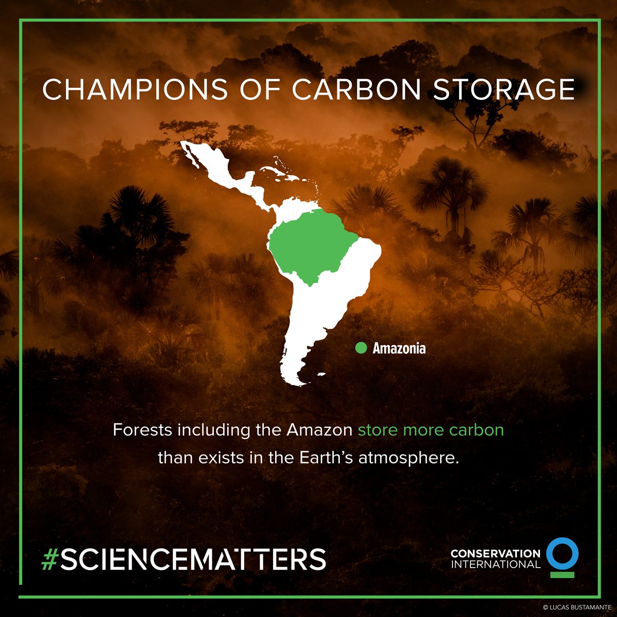 ConservationOrg's tweet photo. Forests including the Amazon store more carbon than exists in Earth’s atmosphere. #ScienceMatters @ConservationOrg https://t.co/ndDuAT9uUF https://t.co/je3gg86d2o
