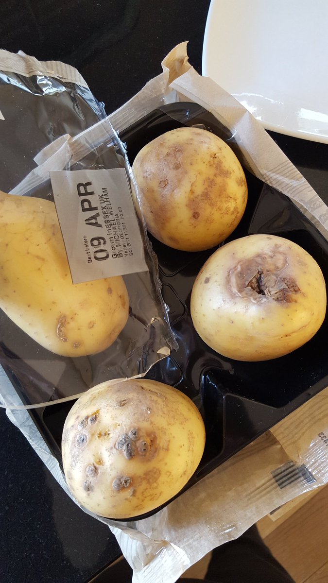 emsdillon01's tweet photo. The @Tesco #clickandcollect guy was so pleased I was first customer of day without substitutes. I got rubbish produce instead! #TescoFinest https://t.co/nk3NFE7ejV