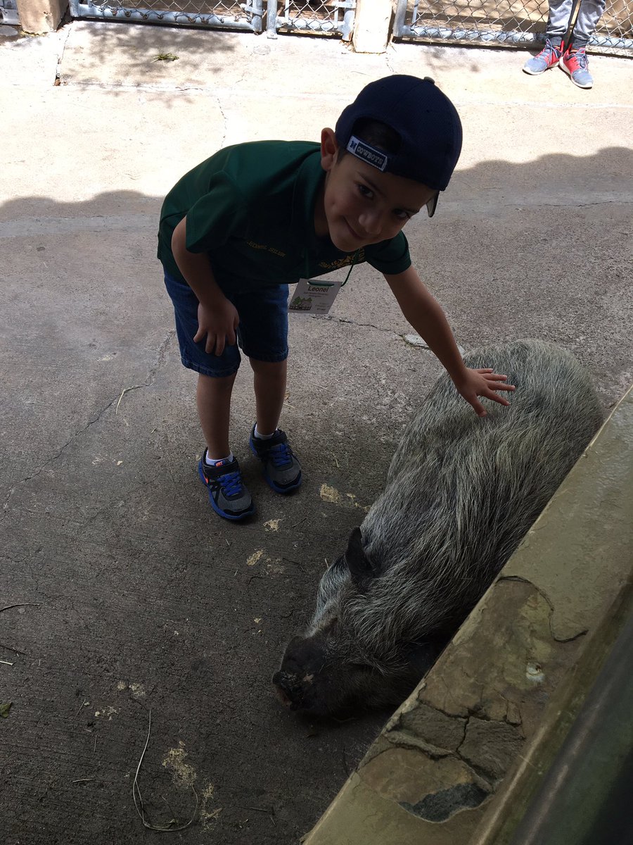 Garcia2Isabel's tweet photo. At the zoo with my littles! https://t.co/uAqXWUz3M3