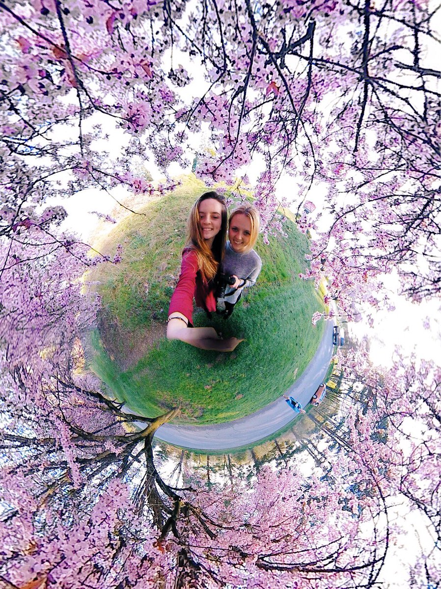 Opix360's tweet photo. we love all the beautiful flowers that bloom in spring 💐 #nano4k https://t.co/fqmSdlyg6j