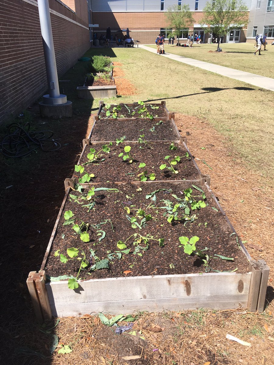 King_laurene1's tweet photo. Spring harvest and planting!  #stallgreenteam 
@rbstallhs https://t.co/7oAGqdZsTh