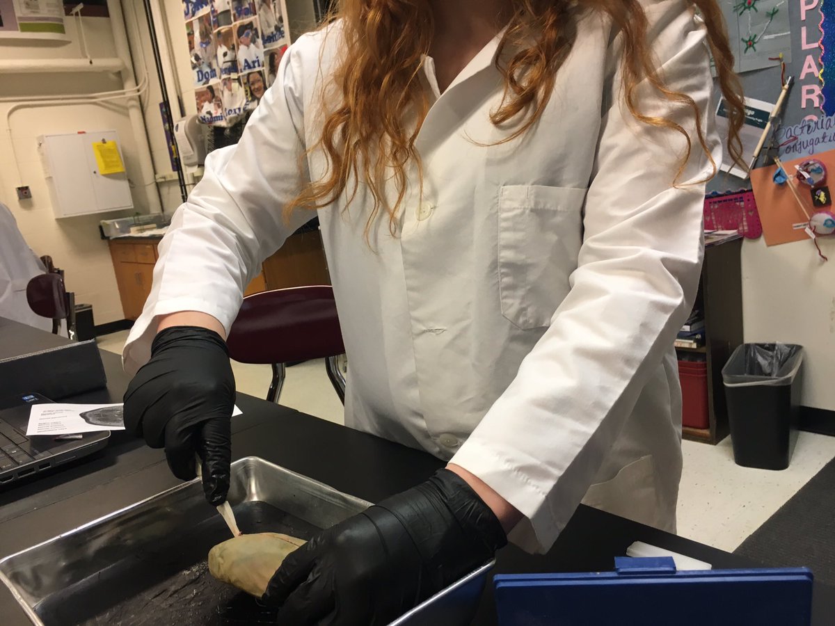 Biomedical Science tweet media