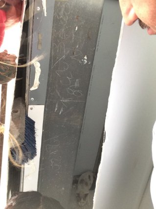 Cicmty's tweet photo. Nos confirman que gatito atrapado en Paseo Tec ya fue liberado cc @pc_mty https://t.co/OAcJlMl9G4