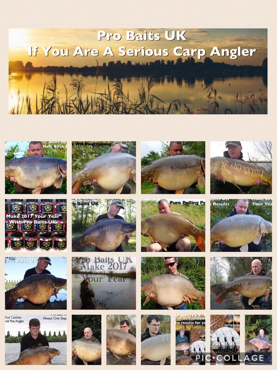 pro_baits's tweet image. #seriouscarpangler