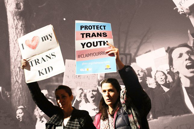 TransLawCenter's tweet image. Why Trans Students Need Your Help Right Now bit.ly/2o7QuOv