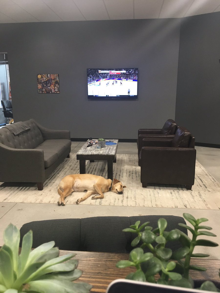 #cawlidgehockey and dog <a href="/shmamberthedog/">Amber</a> <a href="/ConsumeMediaATL/">Consume Media</a> #frozenfour