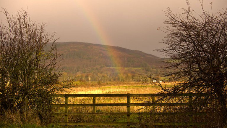BORDER LIFE (@itvborderlife) on Twitter photo 2/2 while @emmabakerITV is on the Solway coast with <a href="/RSPBDandG/">RSPBDumfriesGalloway</a> at Mersehead an amazing and ever growing habitat goo.gl/7ou9S4 2/2 while @emmabakerITV is on the Solway coast with <a href="/RSPBDandG/">RSPBDumfriesGalloway</a> at Mersehead an amazing and ever growing habitat goo.gl/7ou9S4