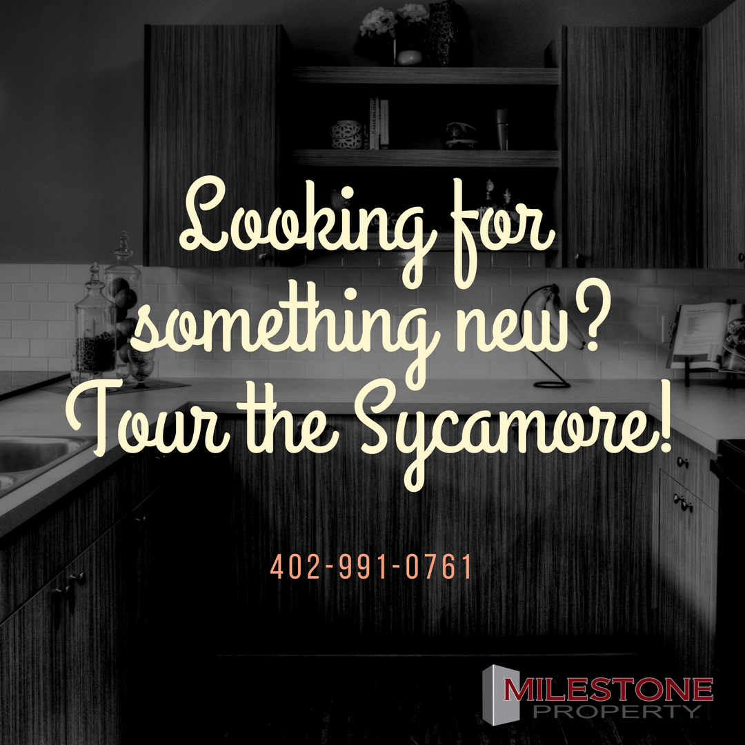 amilestoneprop's tweet photo. The Sycamore is almost full! Schedule a showing to check out these amazing apartments before they're full!

#amilestoneproperty #thesycamore https://t.co/077BjR2CFr