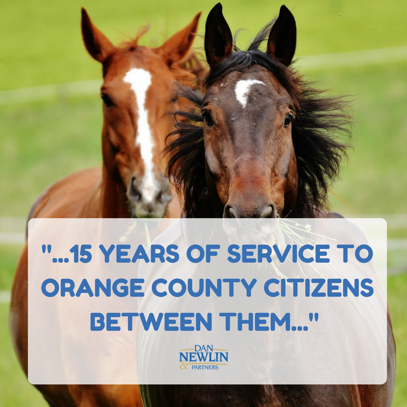 NewlinLaw's tweet photo. Two horses retired from #OrangeCounty Sheriff Office. Thank you for serving our community! #NewlinLaw 
https://t.co/iCYouIkJP4 https://t.co/FuoKQmlDBe