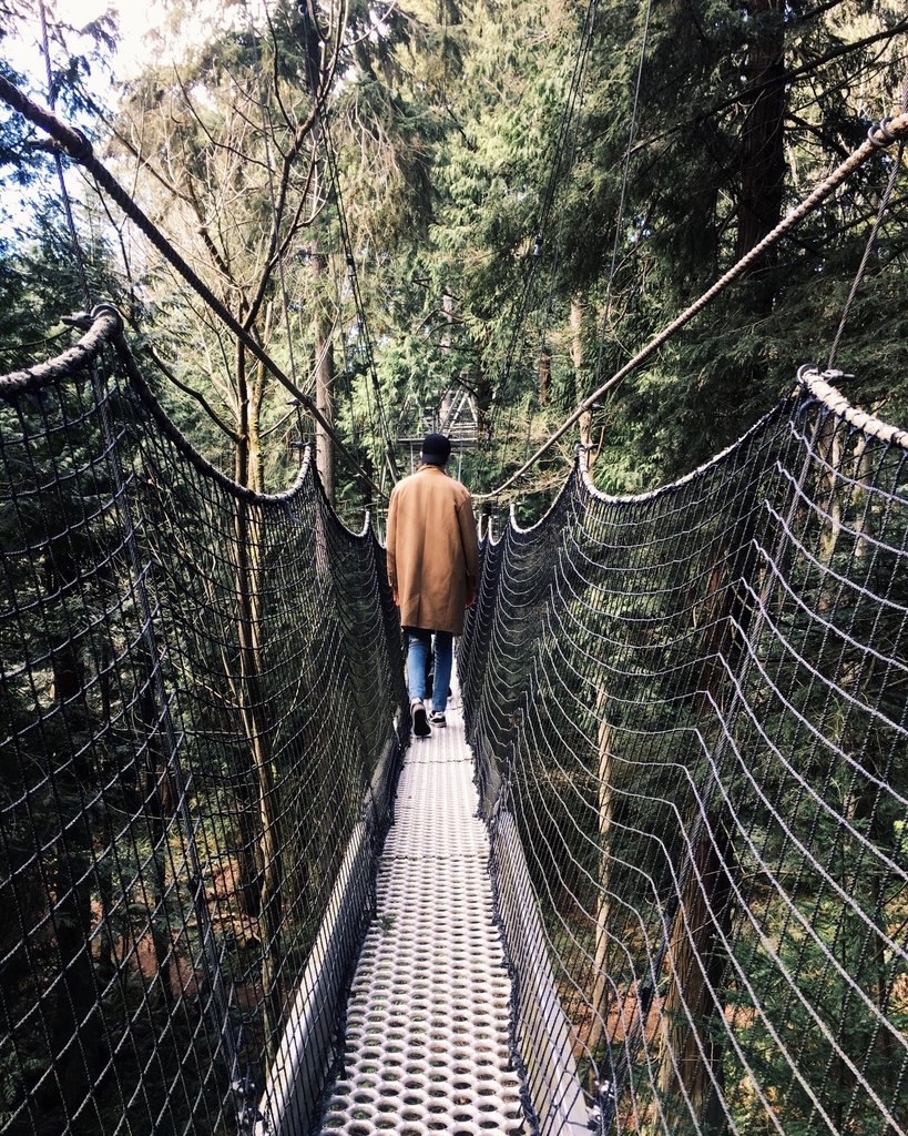 ubctreewalk's tweet photo. Entertain your adventurous side and come sway in the treetops 🌲🌲 #greenhearttreewalk #vancity https://t.co/aQmaCqns1q