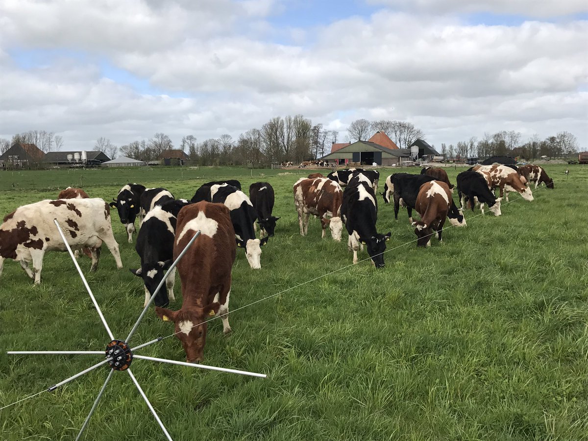 Jaring Brunia tweet media