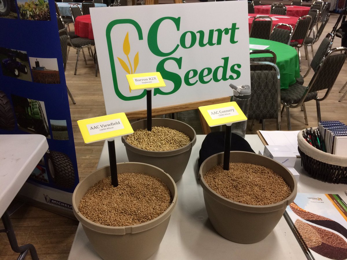 courtseeds's tweet image. Stop by our booth today at #NeepawaAgExpo. Make sure you ask about our new upcoming varieties!