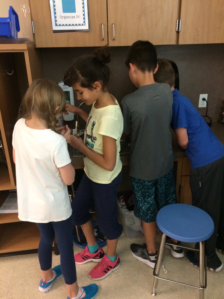 MrsGraham433's tweet photo. My #block2gators are quite the little #botanists #zinnias #sunflowers #marigolds 🌱🌻🌸🌼🌱@principalwch https://t.co/Wdnp1UOzsQ