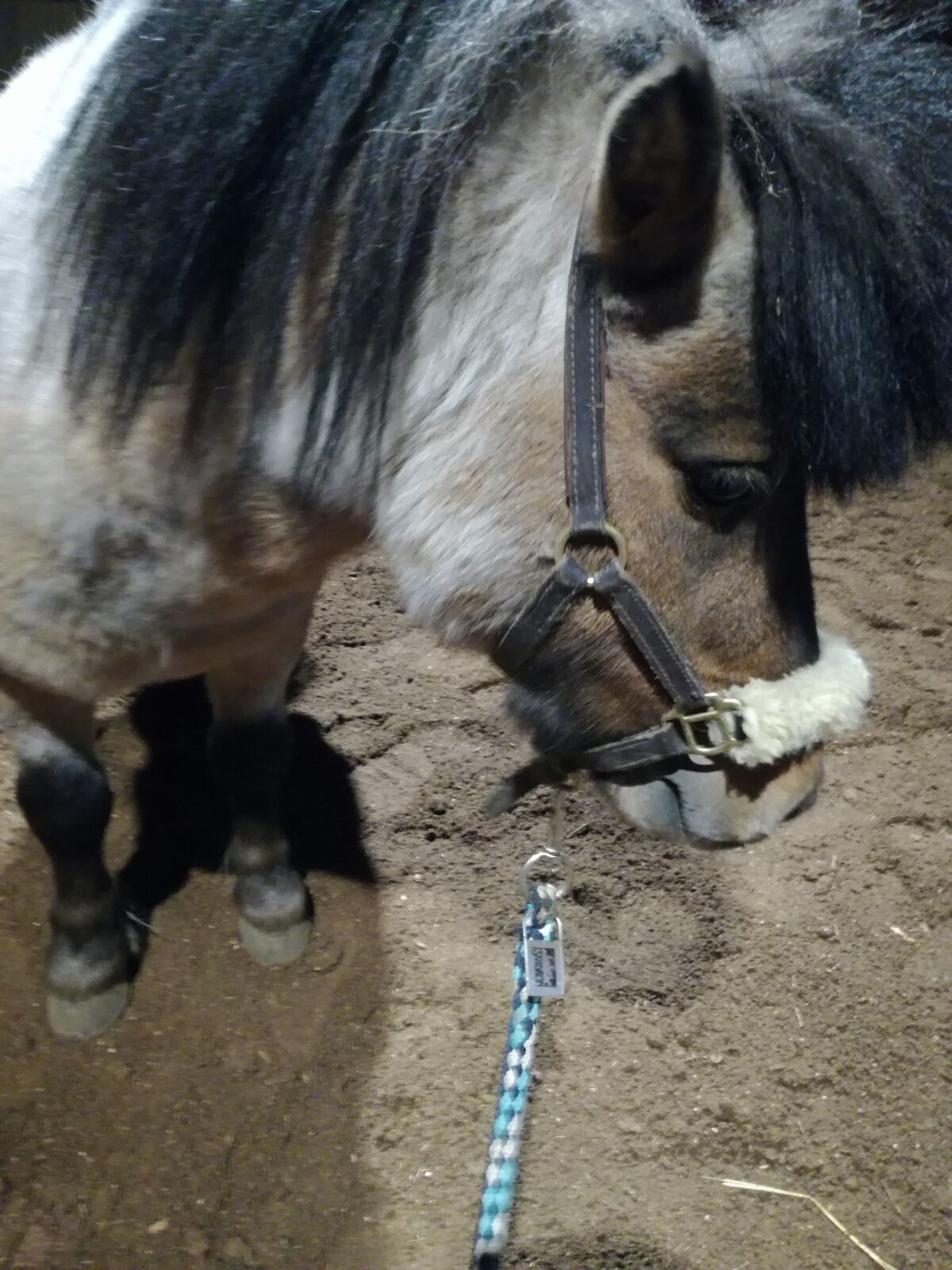 xxxcccccxx (@mylifecassy_h)  X