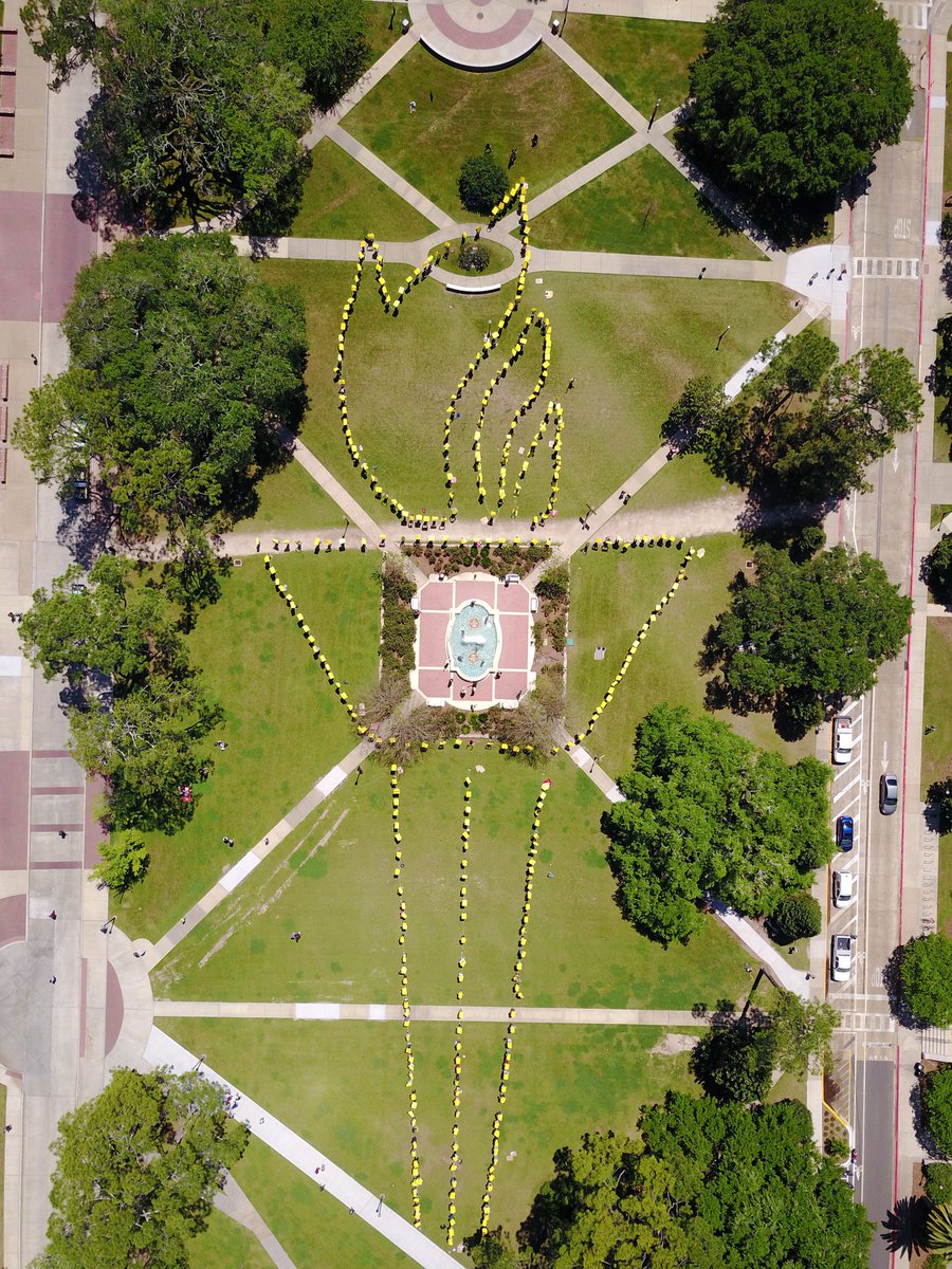 FSUAdmissions's tweet photo. Check out this shot of #TorchTheGreen from @CDRP_FSU's drone camera! #thrashmob https://t.co/HJfdAmLxev
