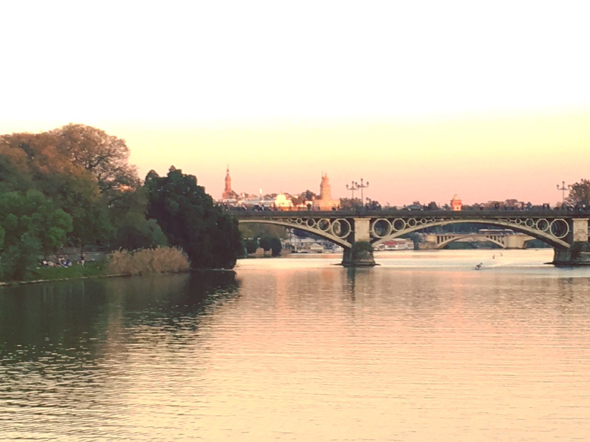 crisainz's tweet photo. #Sevilla al atardecer en #Primavera 🌅😍 #Cuaresma #IXEventoSocialAMCP #ESIAMCP #IAMCP https://t.co/xtfLXbUlCc