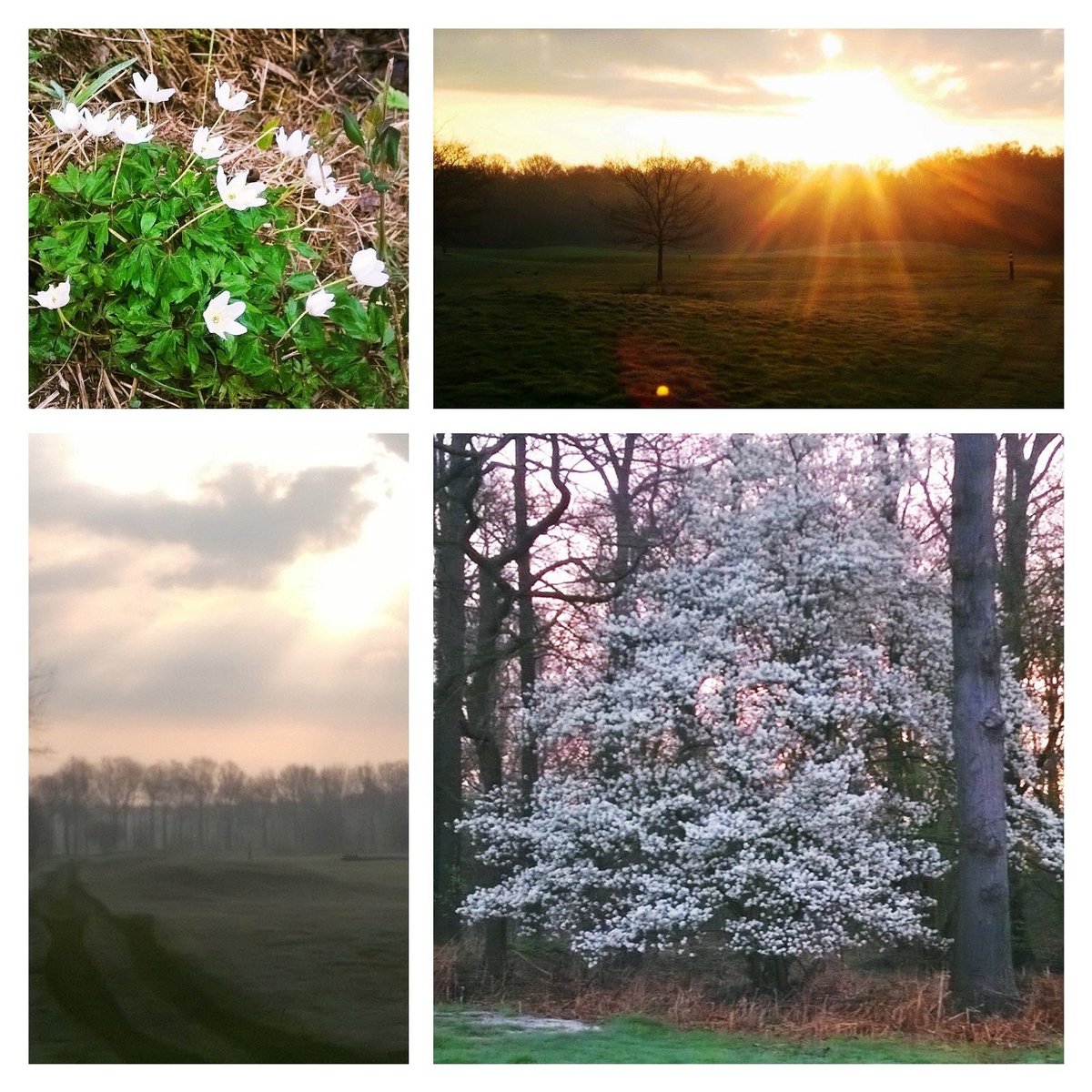 Lente! <a href="/gcmiddenbrabant/">GC Midden-Brabant</a> 
#golf #genieten #zon #lente