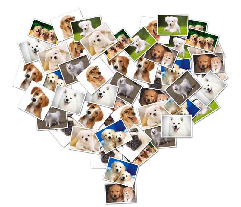 The best local #CaryNC dog walking services @ CaryDogWalkers.com

#Cary #Apex #Morrisville #HollySprings #Raleigh #NC #WakeCo #RDU #RTP