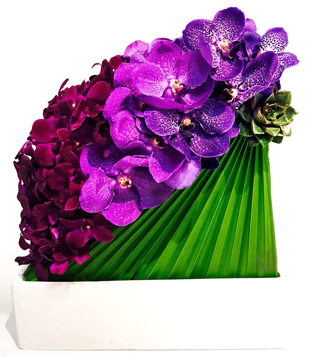 stevedavid0809's tweet photo. "Summer"  a mix of orchids, Vandas,dendros and succulent #stevedavid0809 #vanda #summer https://t.co/0l9mMdVSyN