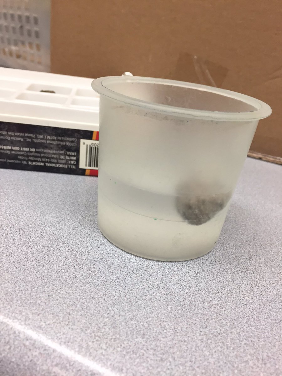 MrsLee000's tweet photo. Exploring igneous rock samples and discovering that some rocks can float! @rjlee_ps https://t.co/Xn8mnpg2Os