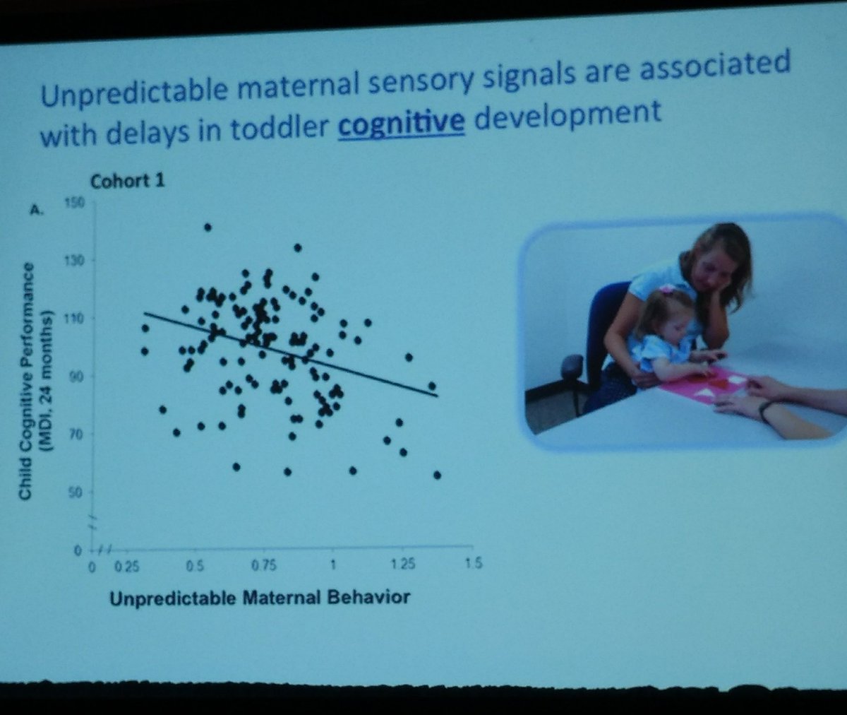 JamieLarsH's tweet image. Elysia Davis: Unpredictable maternal behavior associated with delays in cognitive development #srcd17