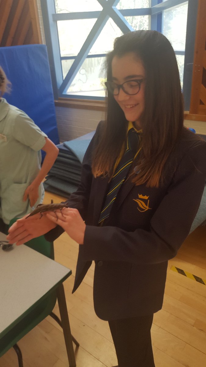 BHCS Hums tweet media