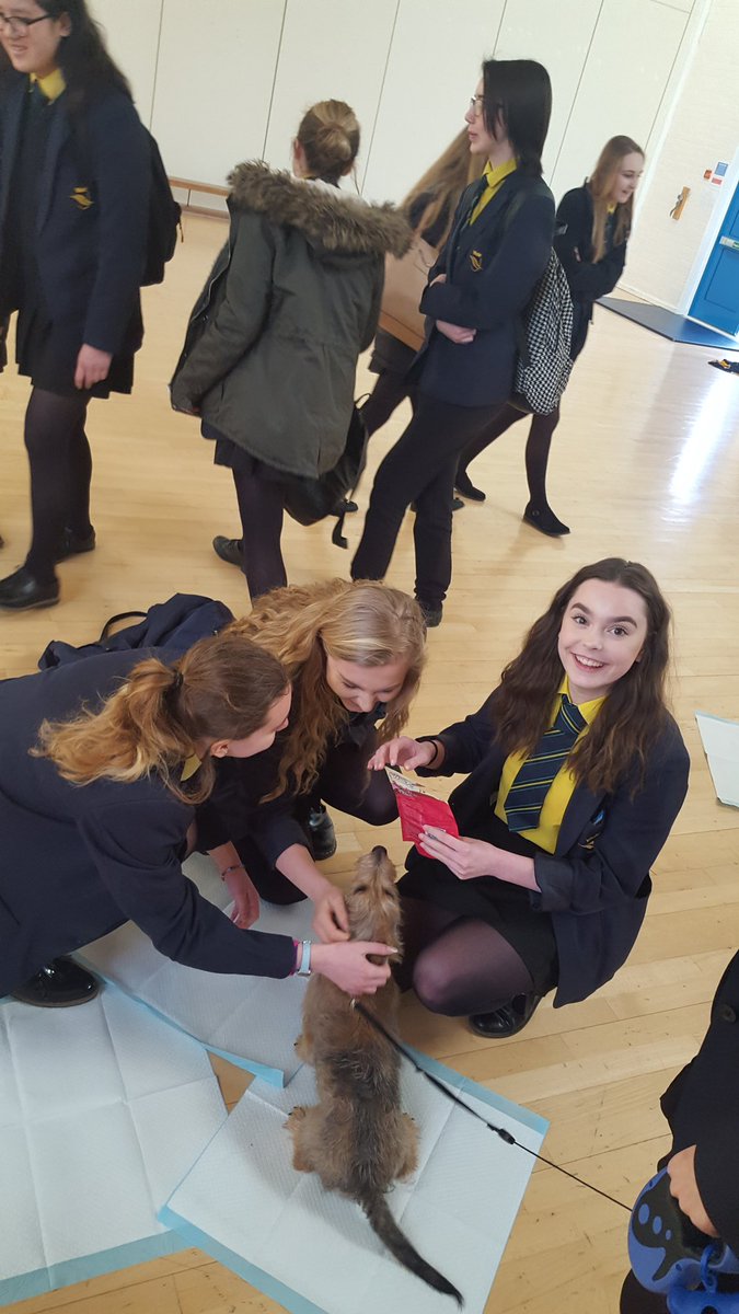 BHCS Hums tweet media