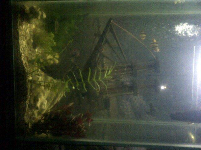 Bagol kurniawan tweet media