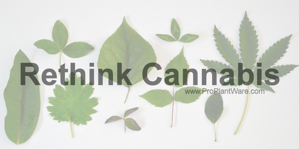 ProPlantWare's tweet photo. Pro Plant.
#RethinkCannabis #ProPlantWare #Cannabis #Plants https://t.co/NM6jpjdEUH