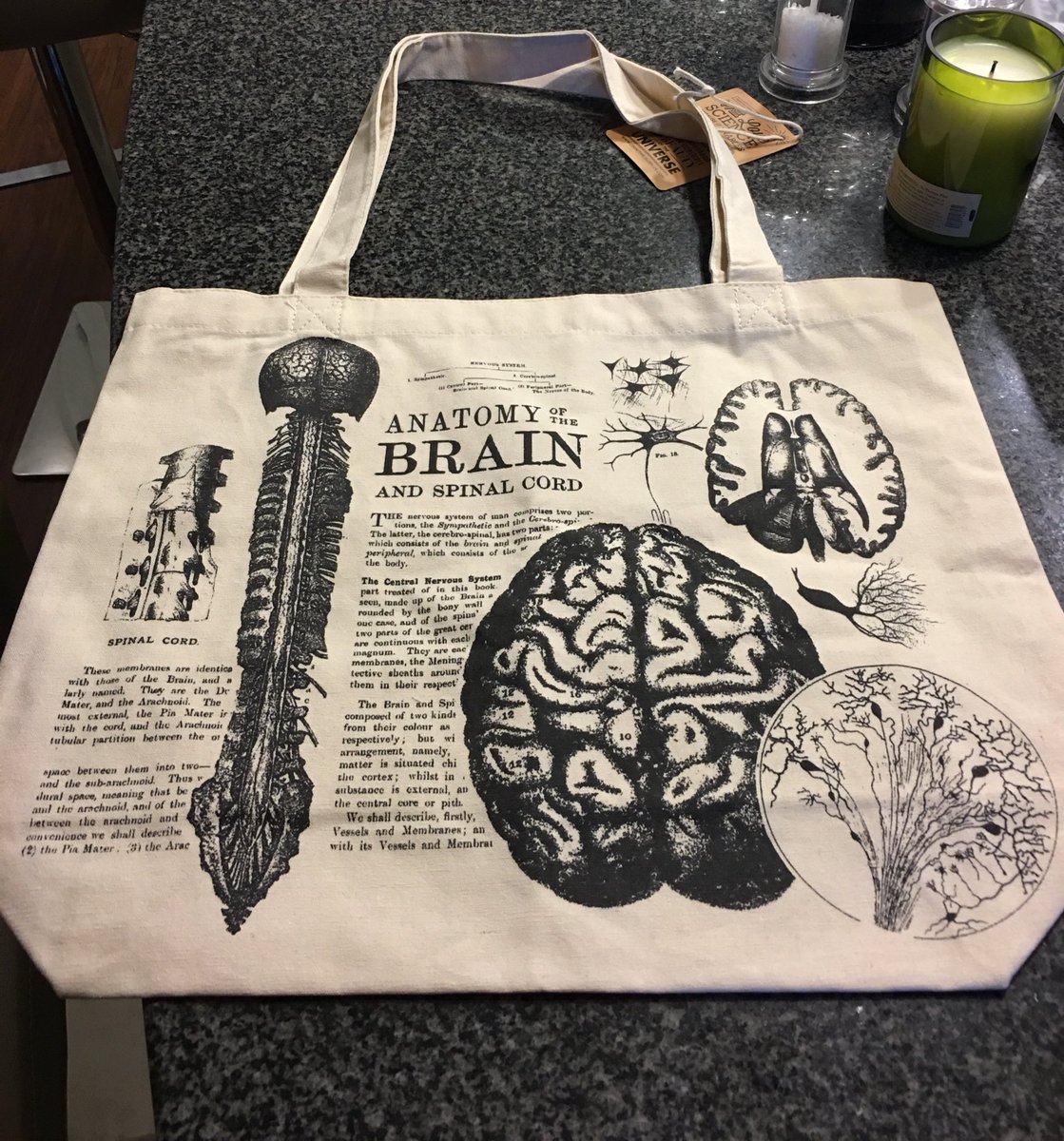 CaseyJeffreysMD's tweet image. My sister got me a brain tote bag for my birthday. I also have a neuron scarf. I have problems. #Neurology #WhenWorkIsLife