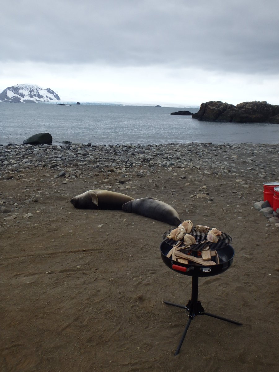 Bear Grill - the only one grill in the Antarctica  🐳