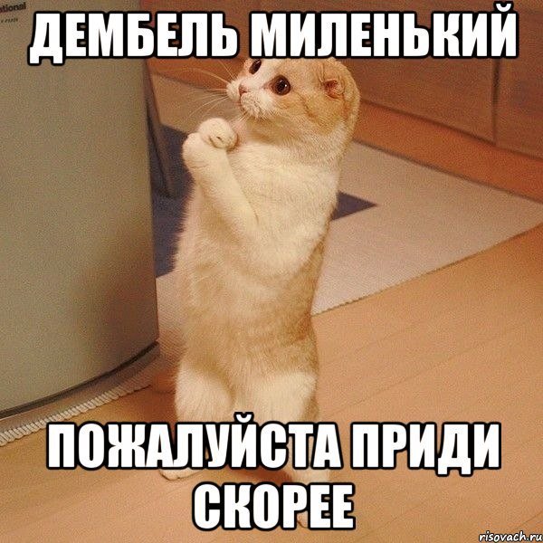 серия а 4 видео. кот в сапогах с зачеткой. прости нас пожалуйста. картинка поставьте зачет. поставьте зачет пожалуйста.