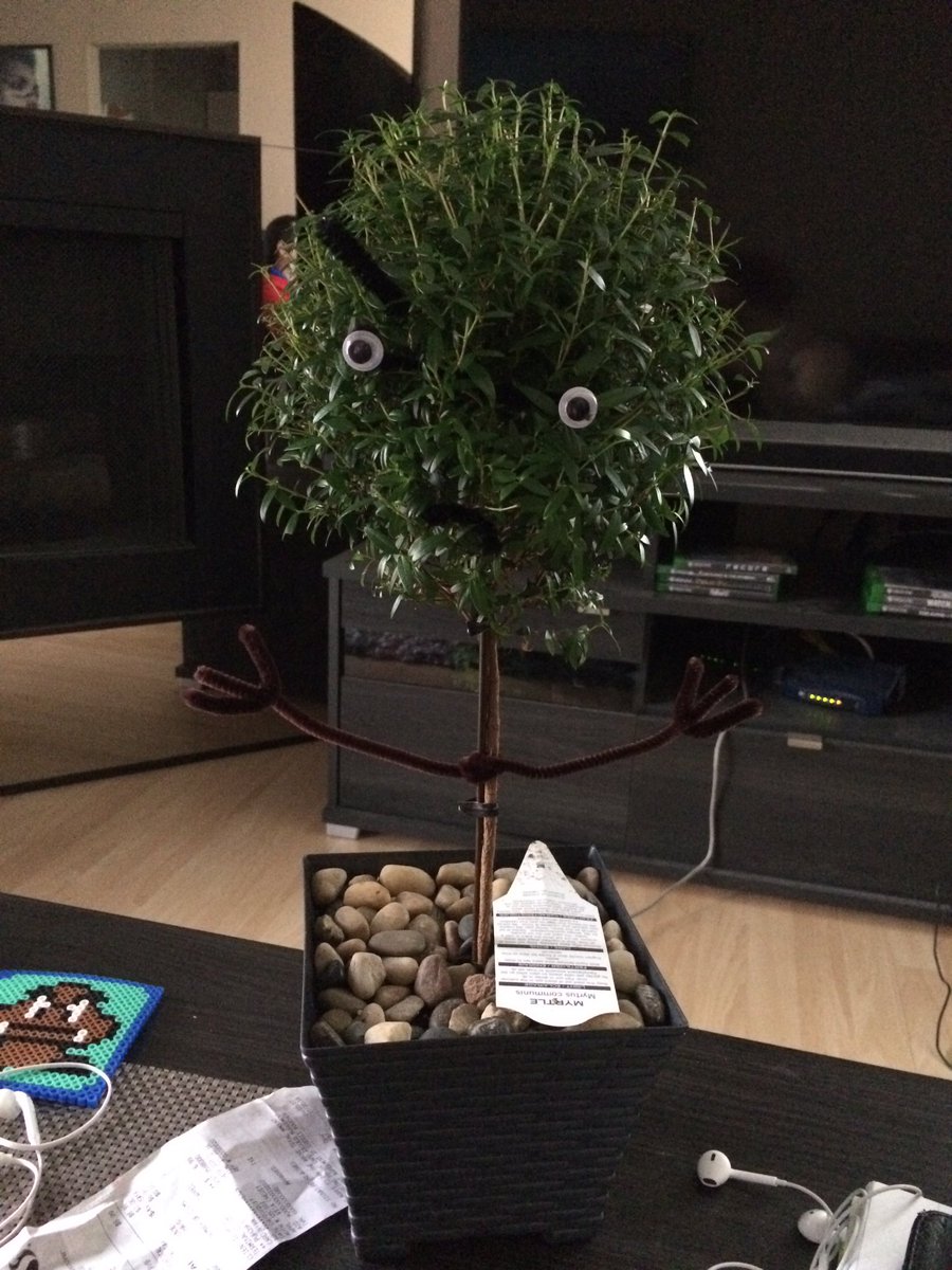 Dreizen89's tweet photo. This is what happens when your partner has the day off work... 😂😂😂 #HarryTheTree #HeLooksPissed @Kangenmaster @tatsurii_ @kilahippey https://t.co/Kizhibf5JQ